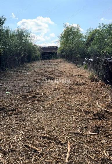 Teren Intravllan - Gtanitului -1156mp