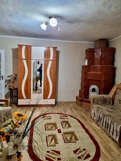 Casă de vânzare la țară complet utilata - 8