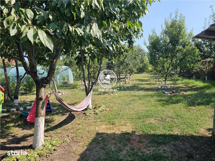 Vila 5 camere , 1196 mp teren - Dorobant , Aroneanu - 3