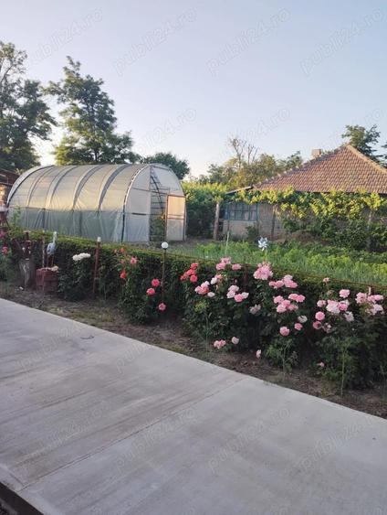 Casa la tara 15 km de Lehliu - 1