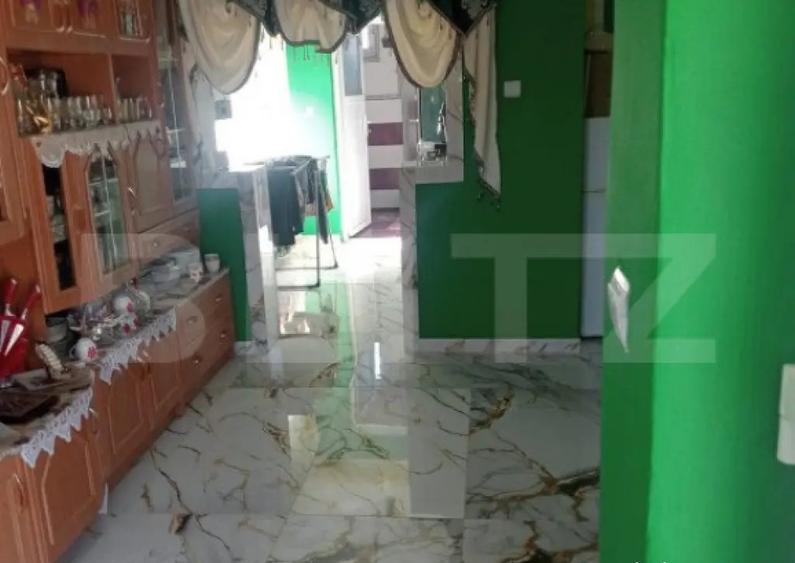 Casa spatioasa in Sanmihaiu de Campie - 5