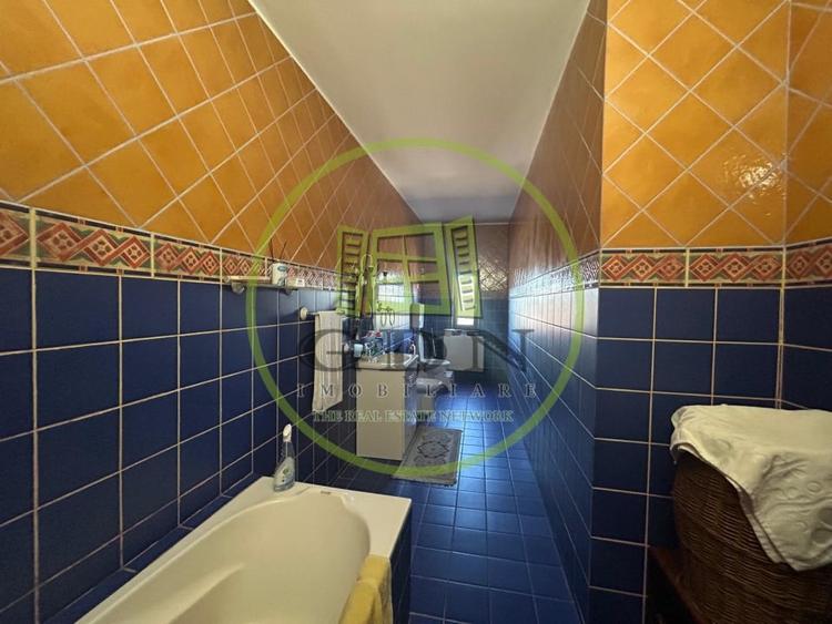 Afacere la cheie, 2963 mp utili, 21598 mp teren, Cernele - 8