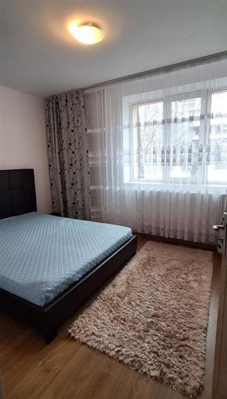 Apartament 2 Camere COPOU - 460 euro - 6