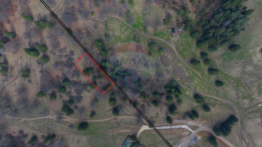 Teren Poiana Brasov, langa Stana turistica 1872mp, PUZ case/ pensiuni - 8