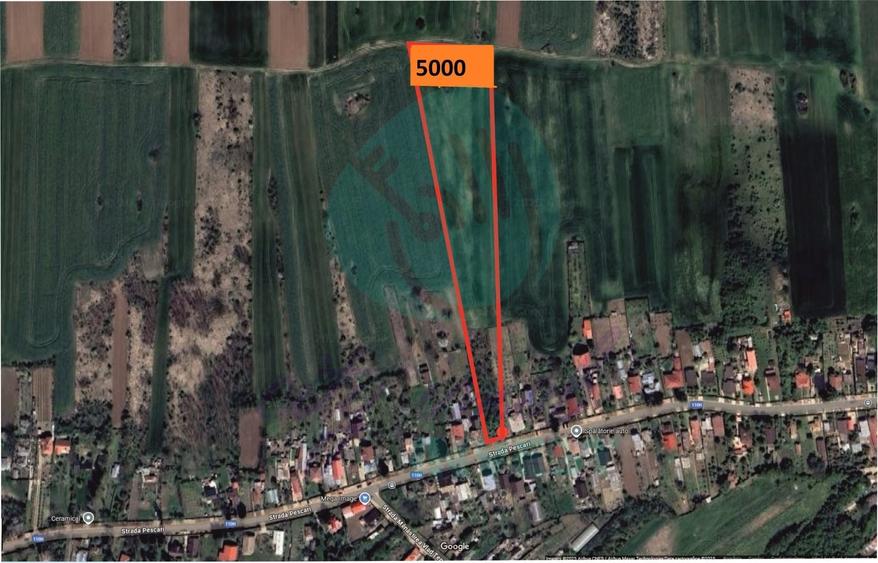 Teren 5000 mp pentru dezvoltare rezidențială, Siliștea Snagovului - 1