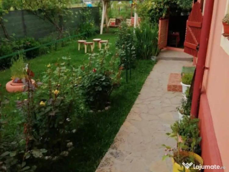 Vila 7 camere, 200 mp, zona Maneciu Pamanteni - 9