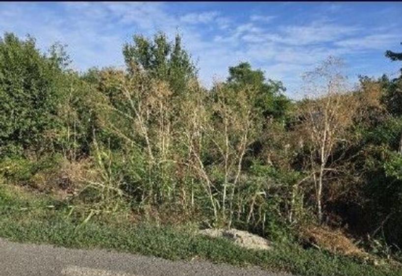 Teren intravilan Stefanestii de Jos cota parte 1/5, ID: R... - 4