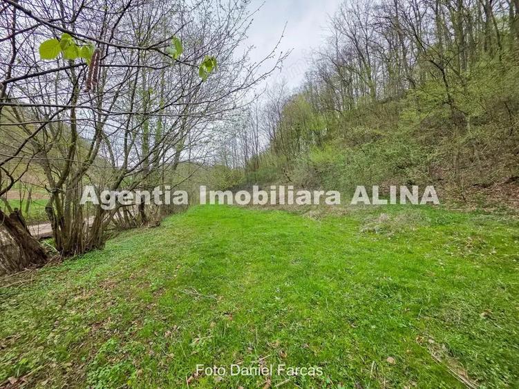Teren intravilan 1.700 mp + 6.600 mp Padure de foioase + 1.200 mp Padure de foioase, Sat Nojag. - 8