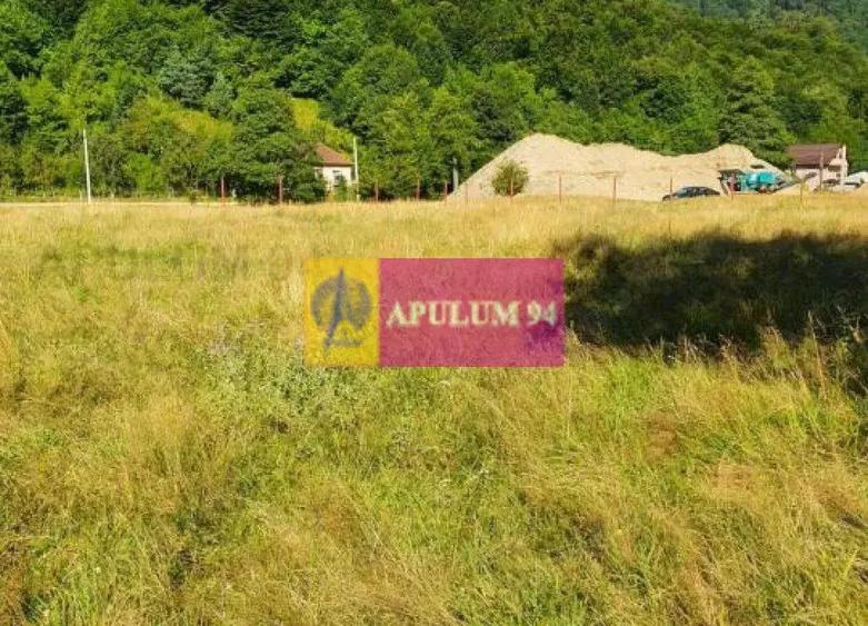 Teren Jude?ul Valcea - Brezoi, Valea lui Stan - 7