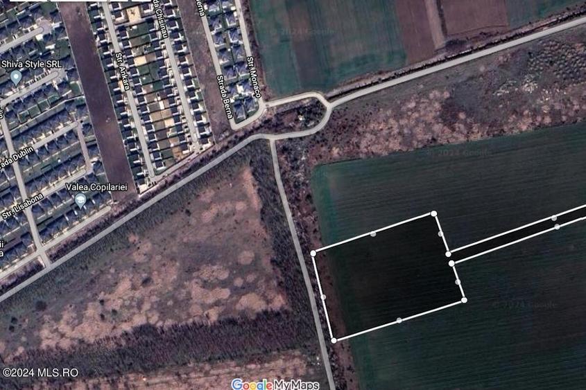 	Corbeanca - Tamasi, intravilan, 16562 mp, deschidere 93 m, rezidential! - 7