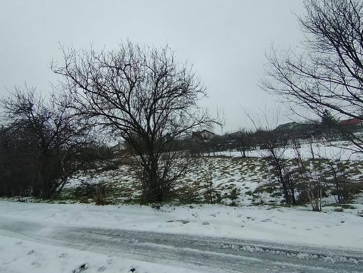 Teren 640 mp, Mischii, front 45,78 m - 2