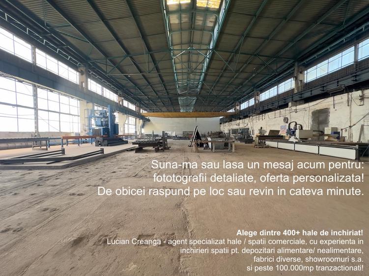 Hale cu pod rulant, de la 100mp la 2000mp, Carrefour Felicia - 1