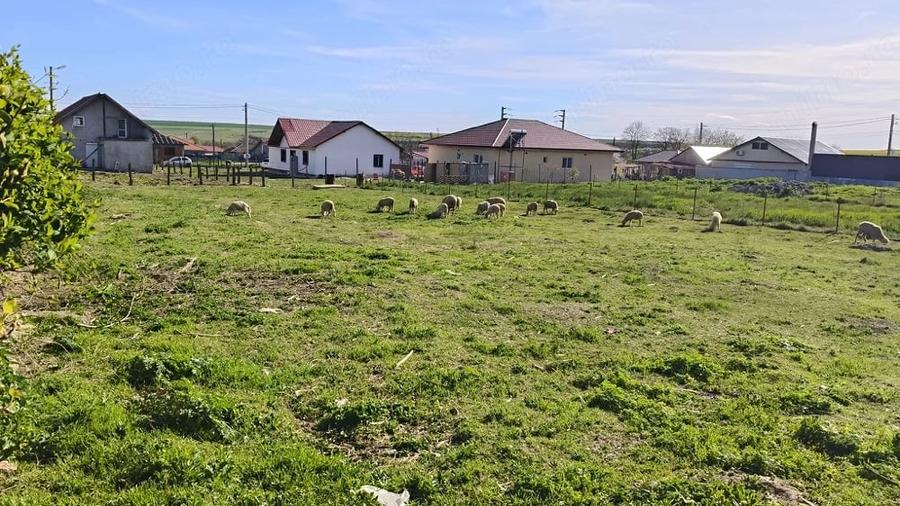 Teren de 885 mp, în Albești