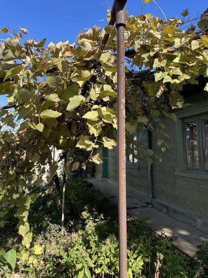 Casa la curte in municipiul Calarasi - 7