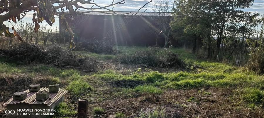 Vand casa in Data?eni (Date?) - 9