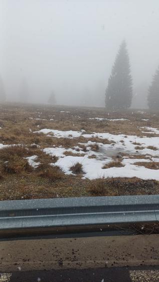 Vand 2 parcele Belis - 5