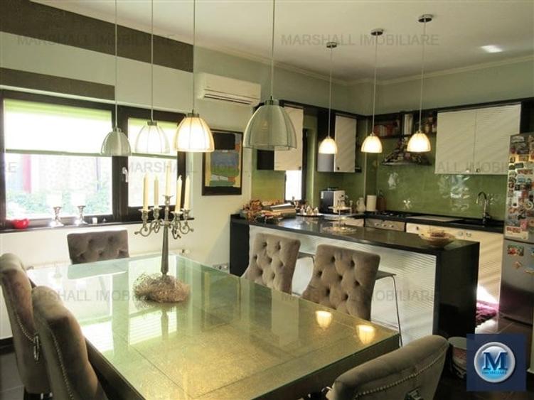 Vila cu 4 camere de vanzare, zona Ultracentral, 332 mp #14427 - 15