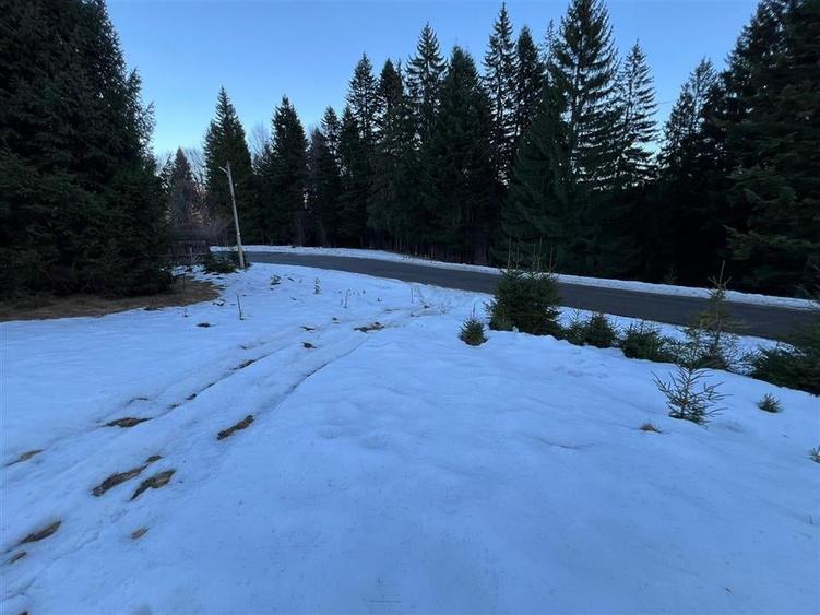 TEREN PREDEAL BRASOV - 2