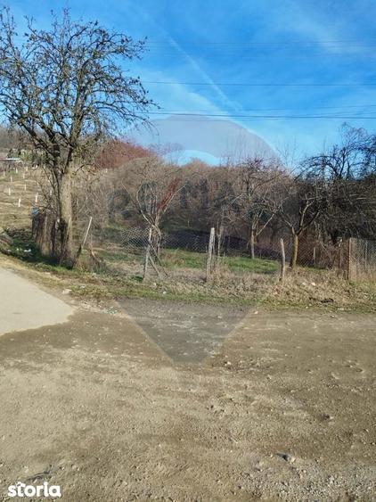 Teren 1.736mp Chi?e?ti-AG, Ideal Casa, Deschidere la Asfalt, Utilita?i - 3