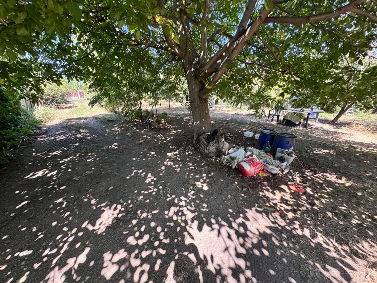 Casa individuala P+1+M amplasata pe un teren de 1612 mp. - 50