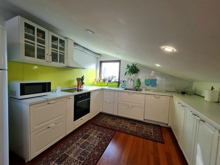 Vila + Afacere 15.000mp Clinceni - 17