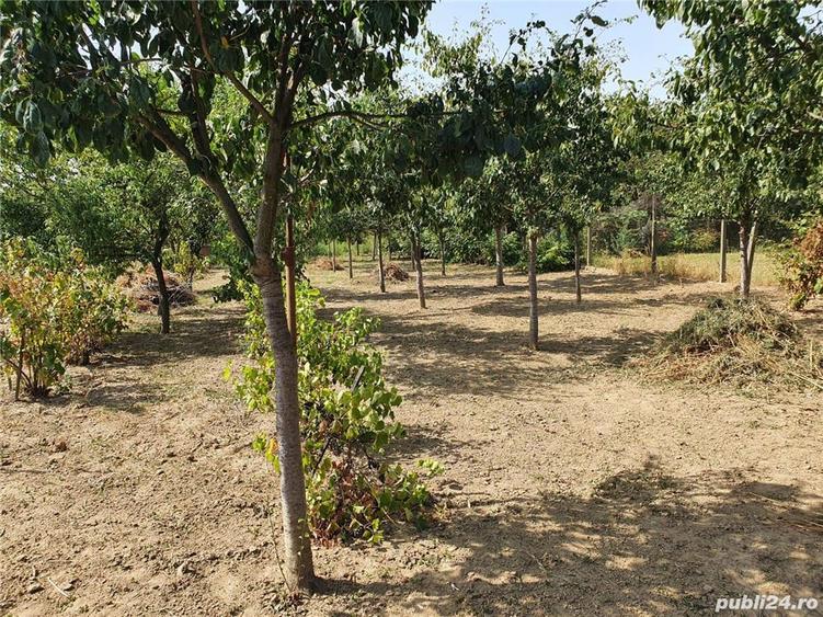 Proprietar vand casa in Lugoj - 2