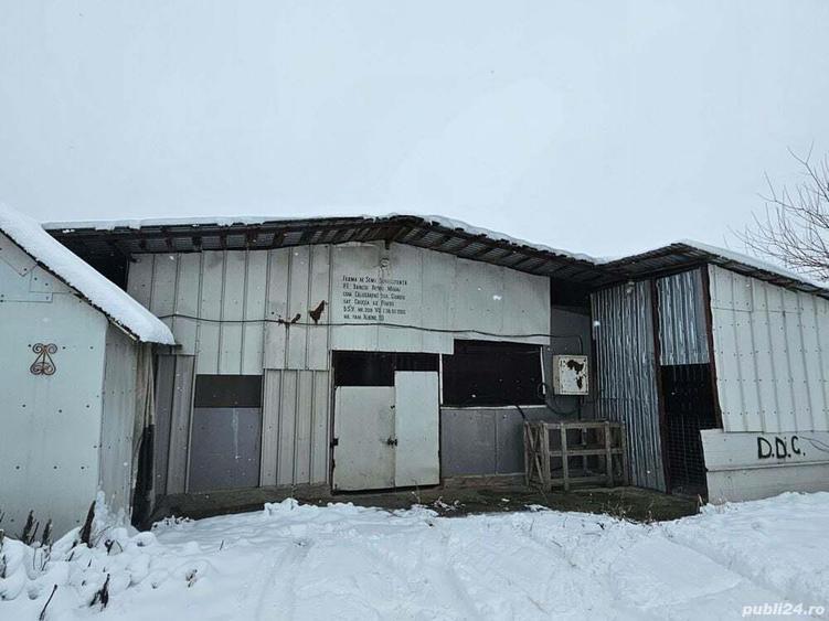 Ferma Calugareni 11860 mp 90 000 Euro - 8