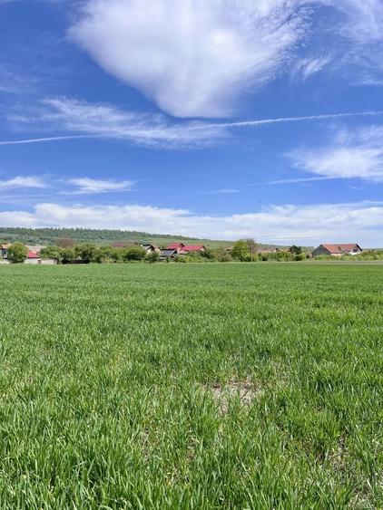 Teren de vanzare Brasov | Intravilan | Zarnesti 1150m2 - 4