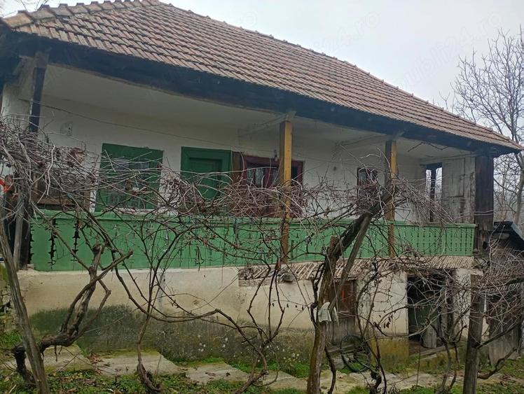 Casa la tara ,in stare buna - 2