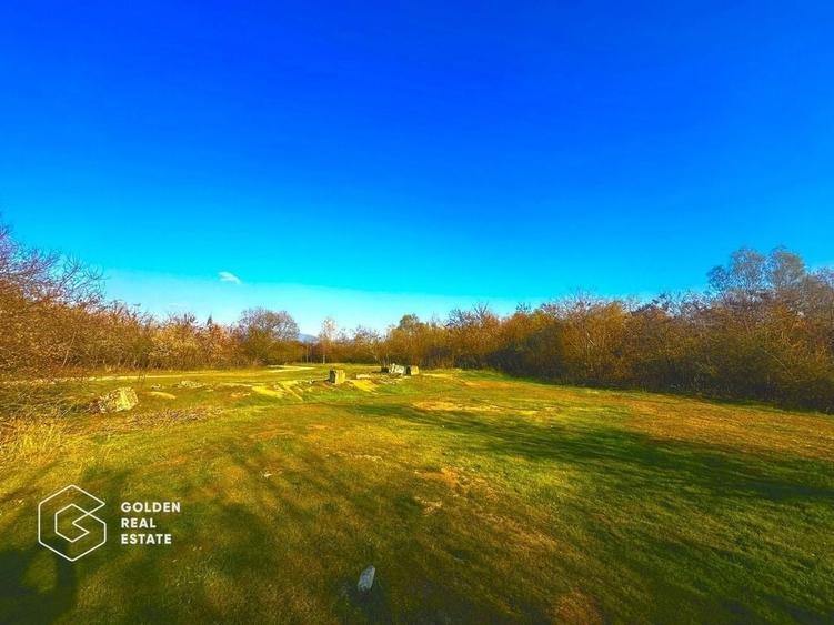 Teren intravilan 71.000mp, Barsa, Renumita Fabrica de caramida si casa 4 camere - 5