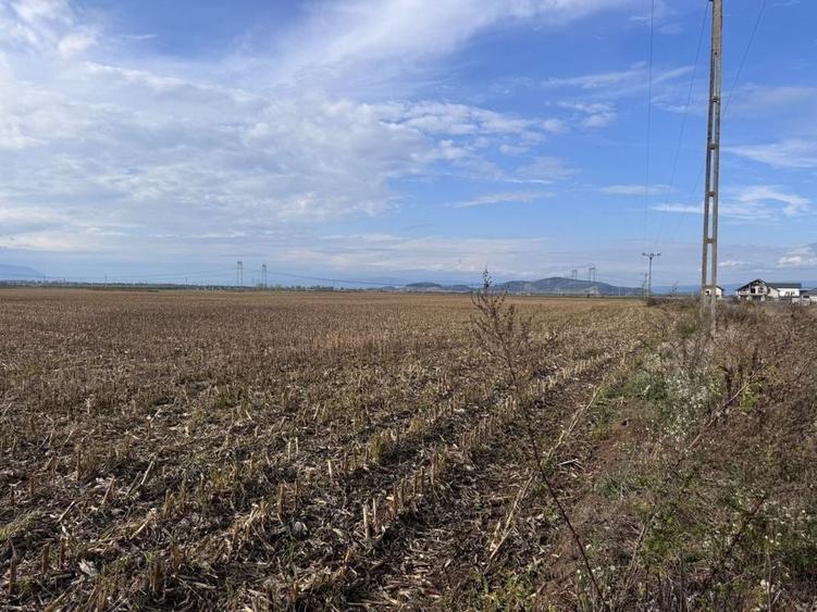 Teren dezvoltare rezidentiala Tarlungeni - zona Izvor - 1