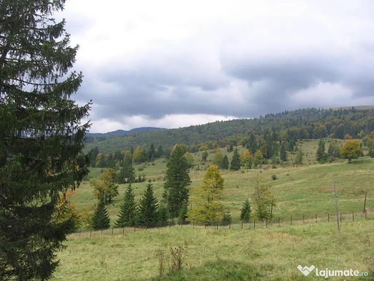 Predeal-Teren intravilan situat in Paraul Rece - 5