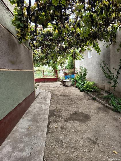 Casa de vanzare in centrul localita?ii Tamaseu (jude?ul Bihor), aproape de Oradea! - 4