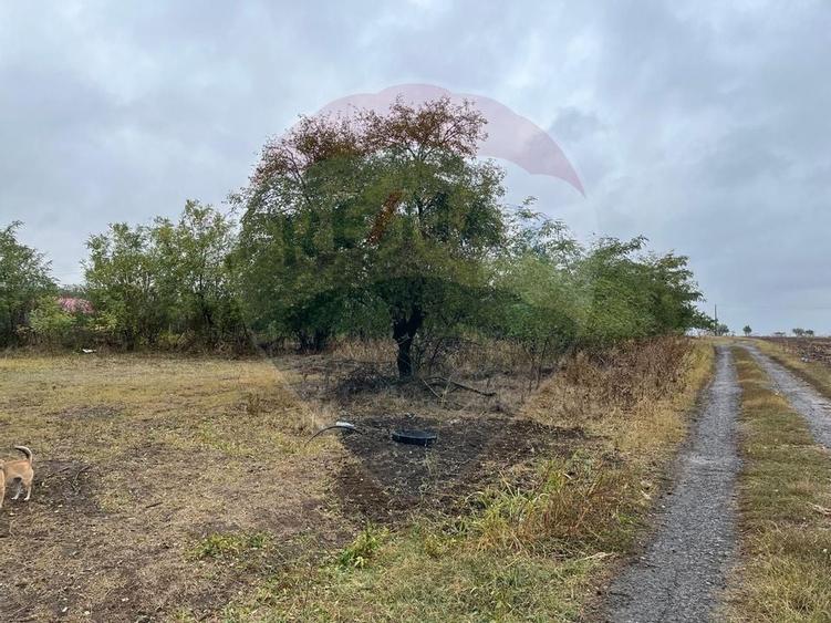 Teren intravilan 1700 mp, de vanzare, Polcesti,  A2 Sarulesti - 5