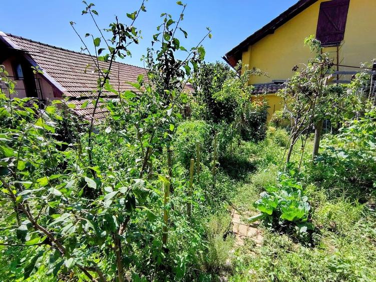 Casa unifamiliala 120 mp utili,  cu 477 mp teren, garaj, Dambul Rotund - 17