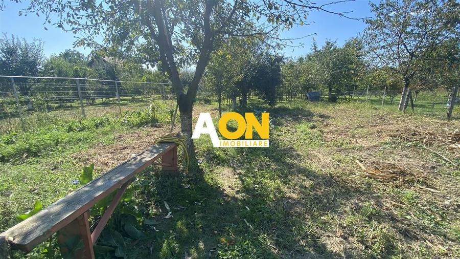 Casa Individuala Renovata cu 1600mp Teren - 4