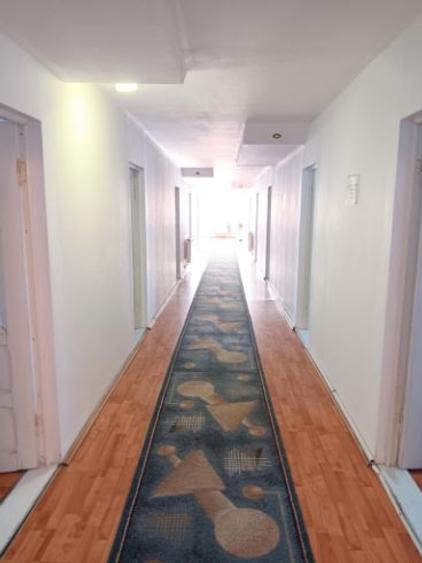 Tomesti deal la DE Iasi-Albita casa 118 mp si pensiune 530 mp - 3