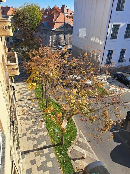 Spatios pentru  locuit si afacere - 8