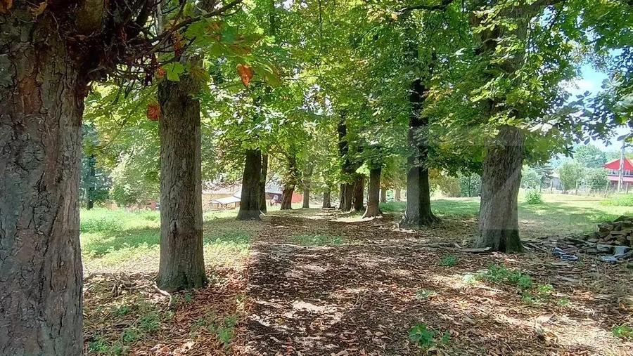 Cabana cu teren intravilan 18.449 mp Paingeni | 7,5 /mp | Vedere panoramica - 4