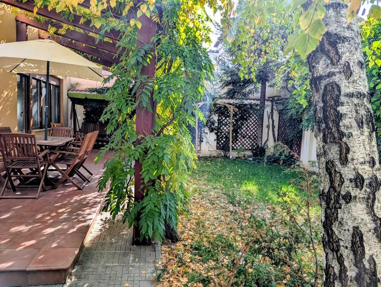 Jiului-Coralilor-Damaroaia,eleganta,robusta,garaj,curte intima,vegetatie matura - 40