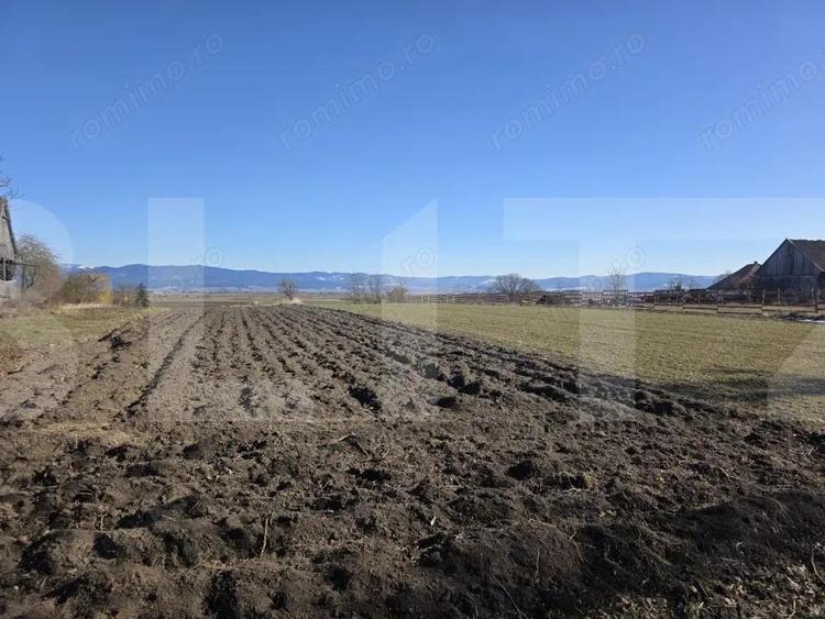 Casa individuala cu 3 camere intr-un teren generos - 11