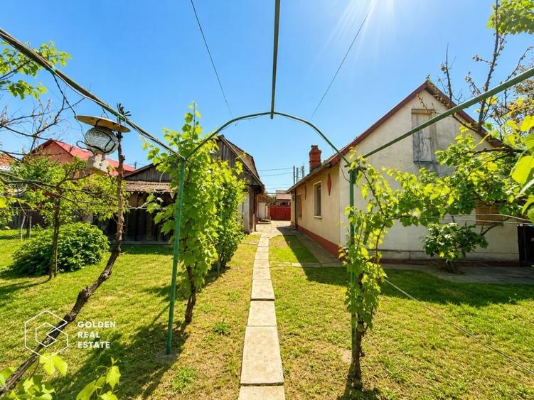 Casa cu teren 688 mp, 2 corpuri de cladire, Parneava - 19