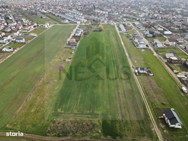 Teren | Berceni | Strada Campului - acces la asfalt - optiune rate - 4