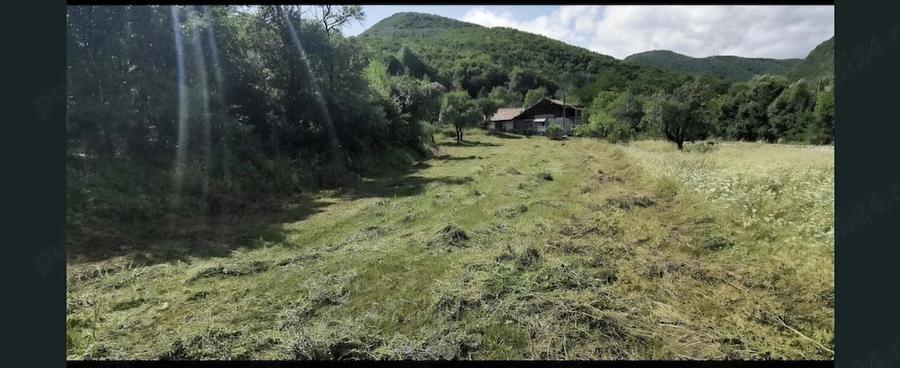 Teren extravilan + intravilan - 4
