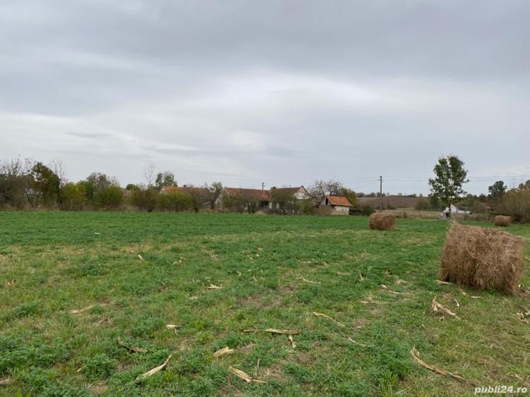 Teren de 4990 mp, în Duboz
