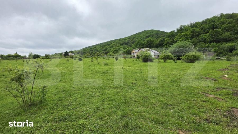Teren de 1450 mp, în Viișoara
