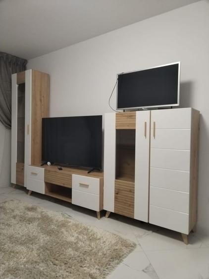 Apartament cu 2 camere decomandat în Paltin