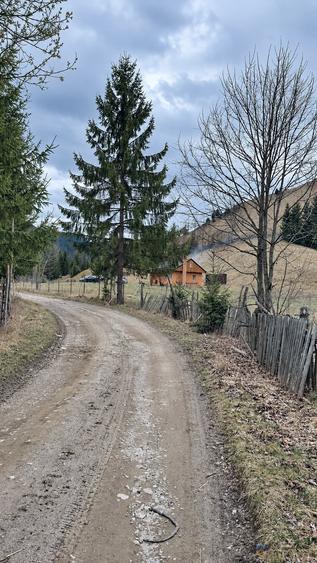Teren intravilan de 716 mp, în Poiana Teiului