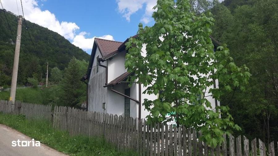Teren frumos Dambovicioara Valea Urdii - 6