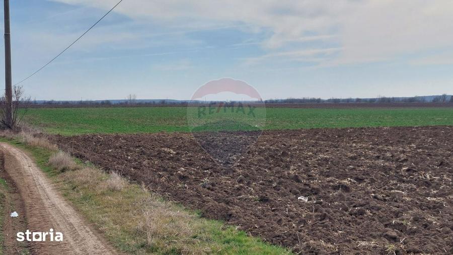 Teren de 5000 mp, în Moara Vlăsiei